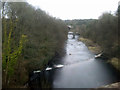 The River Avon at Hamilton