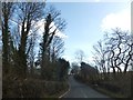 The shallow  valley of the Aylesmore Brook