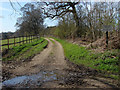 Farm track, Sunninghill Park