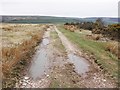 Farm track on Tarr Ball Hill