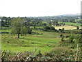 Grazing land between Ballymagnaghy Road and the Leitrim River