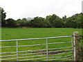 Grazing land on Wood Road