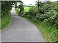 View west along the ascending Wood Road