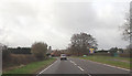 A36 at the garden centre near Wigley