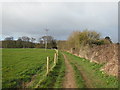 The path continues to Corndean Lane