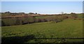 Countryside near Parsonage Bridge