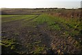 Countryside near Parkyns