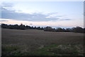 Ploughed field