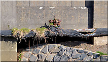 J4669 : Old water main, Comber (1) by Albert Bridge