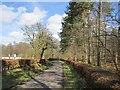 NN8817 : Road beside Sallyardoch Wood by Richard Webb