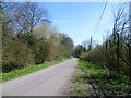 The approach to Hollingbourne station