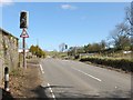 Cattle crossing