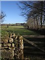 Fields near Laployd Barton