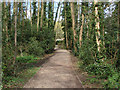 SU9169 : Blythewood recreation area by Alan Hunt