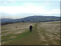 SO9826 : Looking back down Cleeve Hill by Ian S