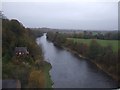 River Eden from Corby Bridge