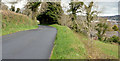 The Scrabo Road, Newtownards