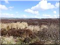 Bogland, Altdrumman