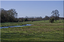 TL1505 : River Ver water meadows by Ian Capper