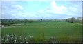 Farmland by the A50