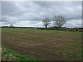 Farmland near Coldside