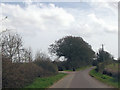 Furzedown Road at Bourne Farm