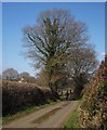 Lane to Laployd Barton