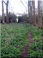 Path to Thornborough Mill