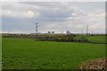 Sedgemoor : Grassy Field & Countryside