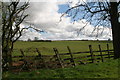 Leaning fence