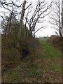 Track to a field at Underdown Moor