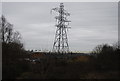 Pylon