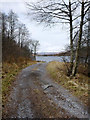 NN1688 : Loch Arkaig from track on south side by Andy Waddington