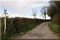 ST2243 : Sedgemoor : Farm Track by Lewis Clarke