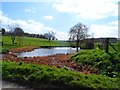 Pond at Wants End farm