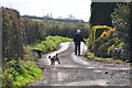 West Somerset : Country Road