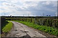 West Somerset : Country Lane