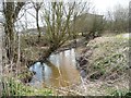 Valley Brook, upstream from the footbridge