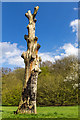 Dead Tree, Grovelands Park, London N21