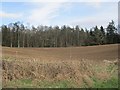 Arable land, Innerpeffray