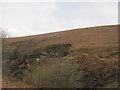 Small disused quarry near Abertridwr