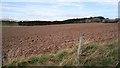 Ploughed field, Shearerston