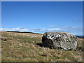 NH6874 : Large boulder below Kinrive Hill by Trevor Littlewood