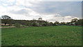 Waterhall Meadows, Little Baddow