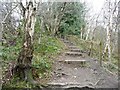 Steps on the path to Perch Pool