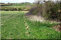 Footpath down to the river