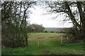 Field gate off the Stewkley Road