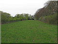 Oxley Meadow - South Field, Tolleshunt Knights