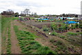 Allotments by the footpath