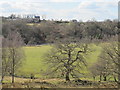 NY6758 : The valley of the River South Tyne at Lambley by Mike Quinn